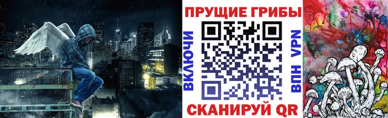 купить наркотик  Новопавловск  Псилоцибиновые грибы прущие грибы 
